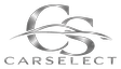 Dealer logo image
