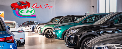 Automobili Coero Borga Srl Logo