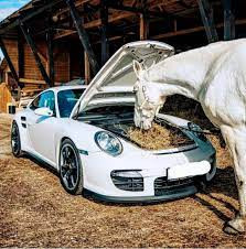 Paolo Mezzopera Car Logo