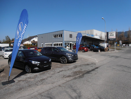 Lerch Fahrzeugtechnik GmbH & Co KG Logo