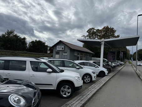 Yagdi Automobile Logo