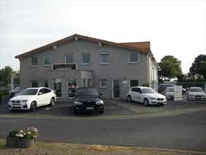 Braun-Design Automobile Logo