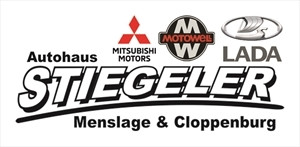 Autohaus Hermann Stiegeler GmbH & Co. KG Logo