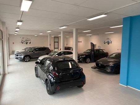 Autosandonà di Vio C. & Furlan E. snc Logo