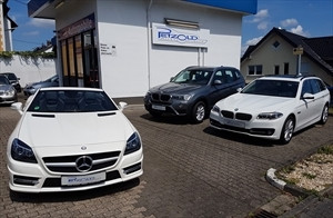 Petzold-Automobile Logo