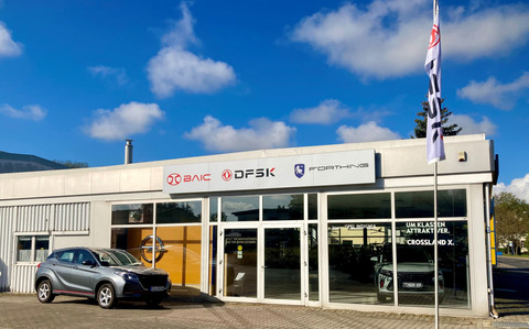 Autohaus Reckzeh GmbH & Co. KG Logo