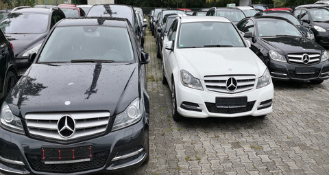 Dalici & Peker GbR Logo