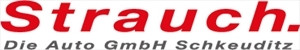 Die Auto GmbH Schkeuditz Logo