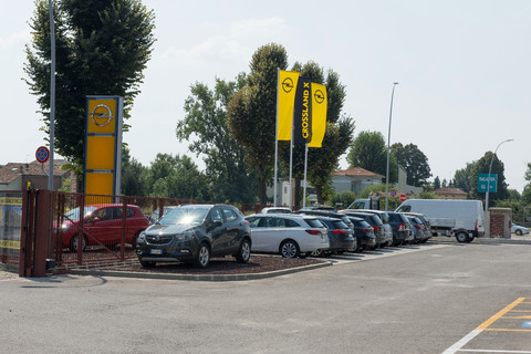 Gualdi Paolo Srl Logo