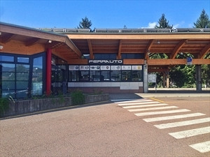 Ferrauto di Ferrante Flavio Logo