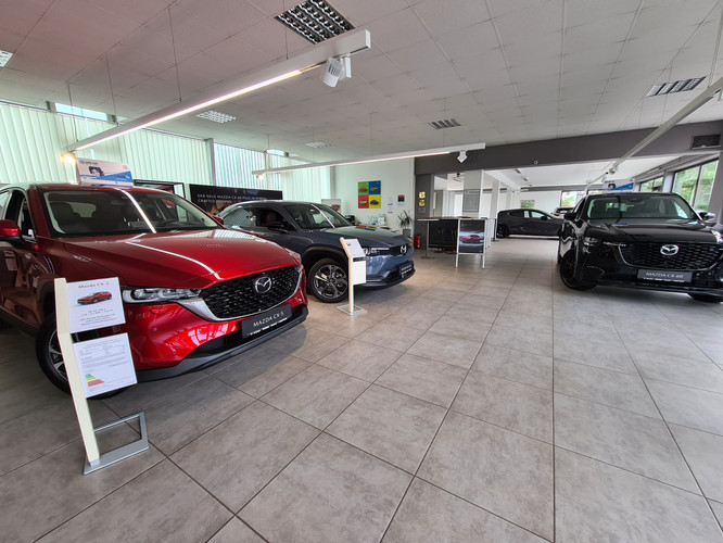 dealer showroom