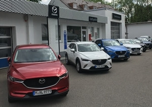 Bernd Lotspeich GmbH Logo