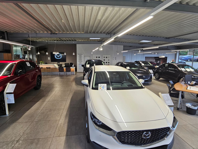 dealer showroom