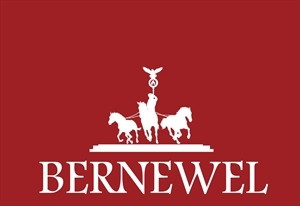Berlins neue Welle GmbH Logo