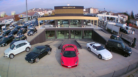 Gold Lion's Car Srl Logo