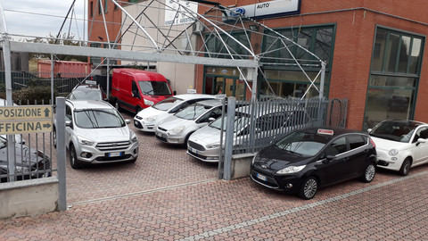 Arseni Loredana Stella Logo