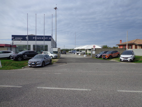 Autoservice Nadalutti Srl Logo