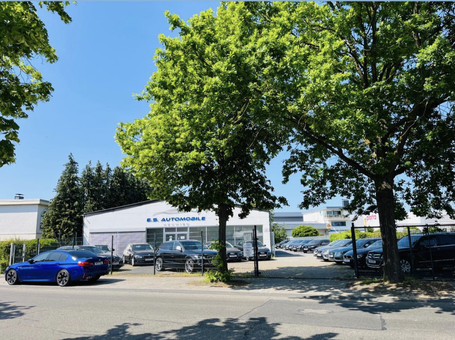 E.S. Automobile Logo