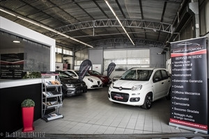 Daniele Automobili Srl Logo