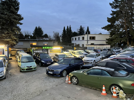 "EWA" Automobile Logo