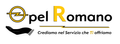 Dealer logo image