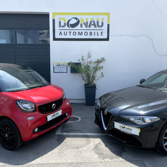 Donau-Automobile, Richard Waiss e.U. Logo