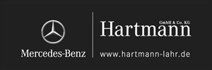 Hartmann GmbH & Co.KG Logo