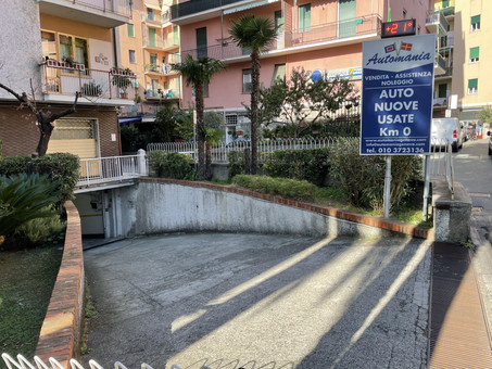 Automania di Molecca Romina Logo