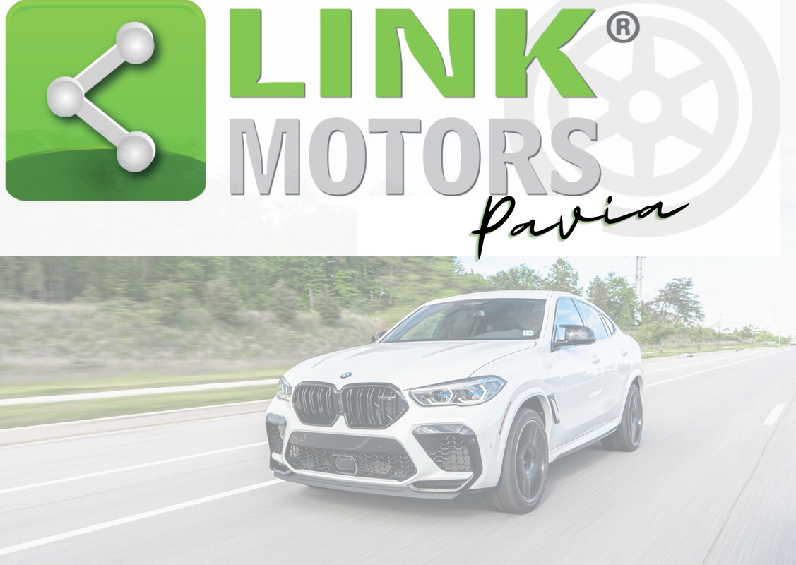Recensioni di Link Motors Pavia in Cava Manara - Pavia | AutoScout24