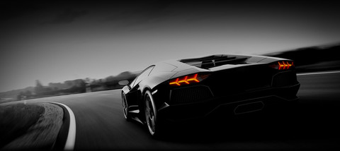 DL-Dietmar Lobnig Gmbh Logo