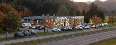 Medele Schäfer Logo