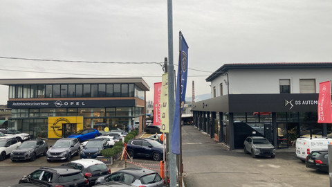 Nuova Autotecnica Lucchese Srl Logo