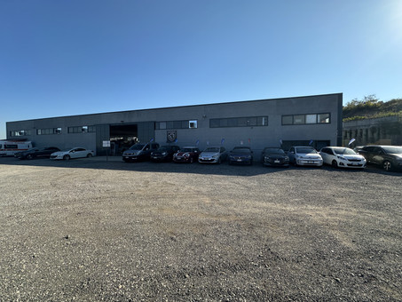 Professione Auto Srl Logo