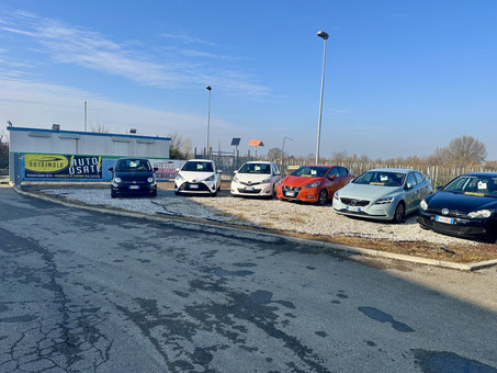 Francesconi Flavio & C. snc Logo