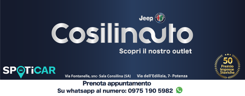 Cosilinauto Srl Logo