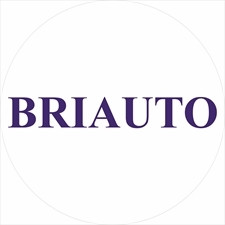Briauto Srl Logo