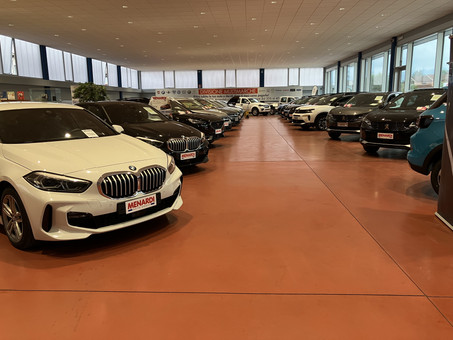 Menardi Auto Group Srl Logo