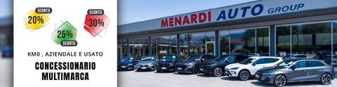 Menardi Auto Group Srl Logo