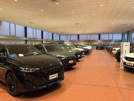 Menardi Auto Group Srl Logo