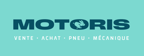 MOTORIS Logo