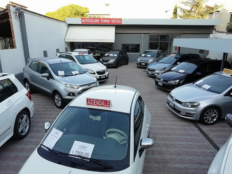 Autosalone Torino Veicoli srl Logo
