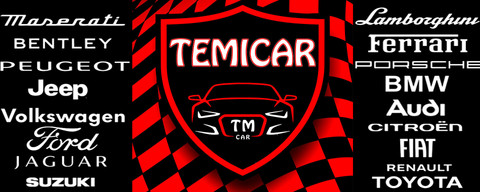 Temicar srl Logo
