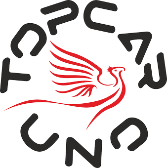 TopCar Uno Srl Logo