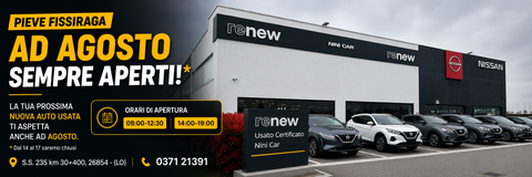 Nini Car Spa Logo
