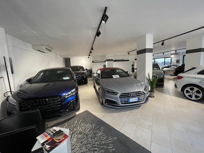 dealer showroom