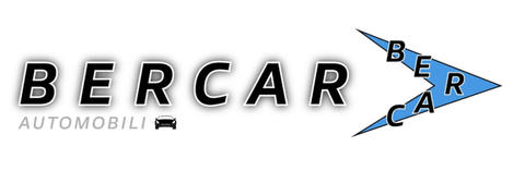 Bercar Srl Logo