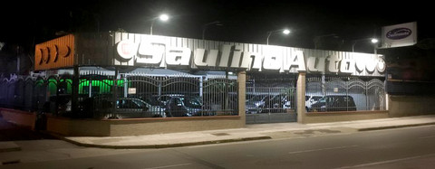 Saulino Auto Srl Logo