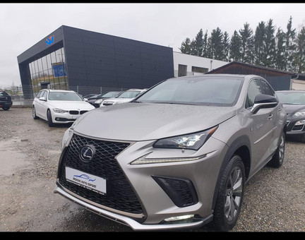 Mokbel Auto Export Logo