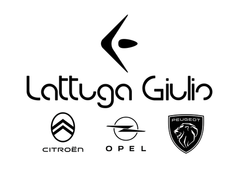 Lattuga Giulio Srl Latuauto Logo