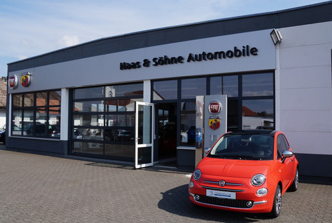 Haas & Söhne Automobil GmbH Logo